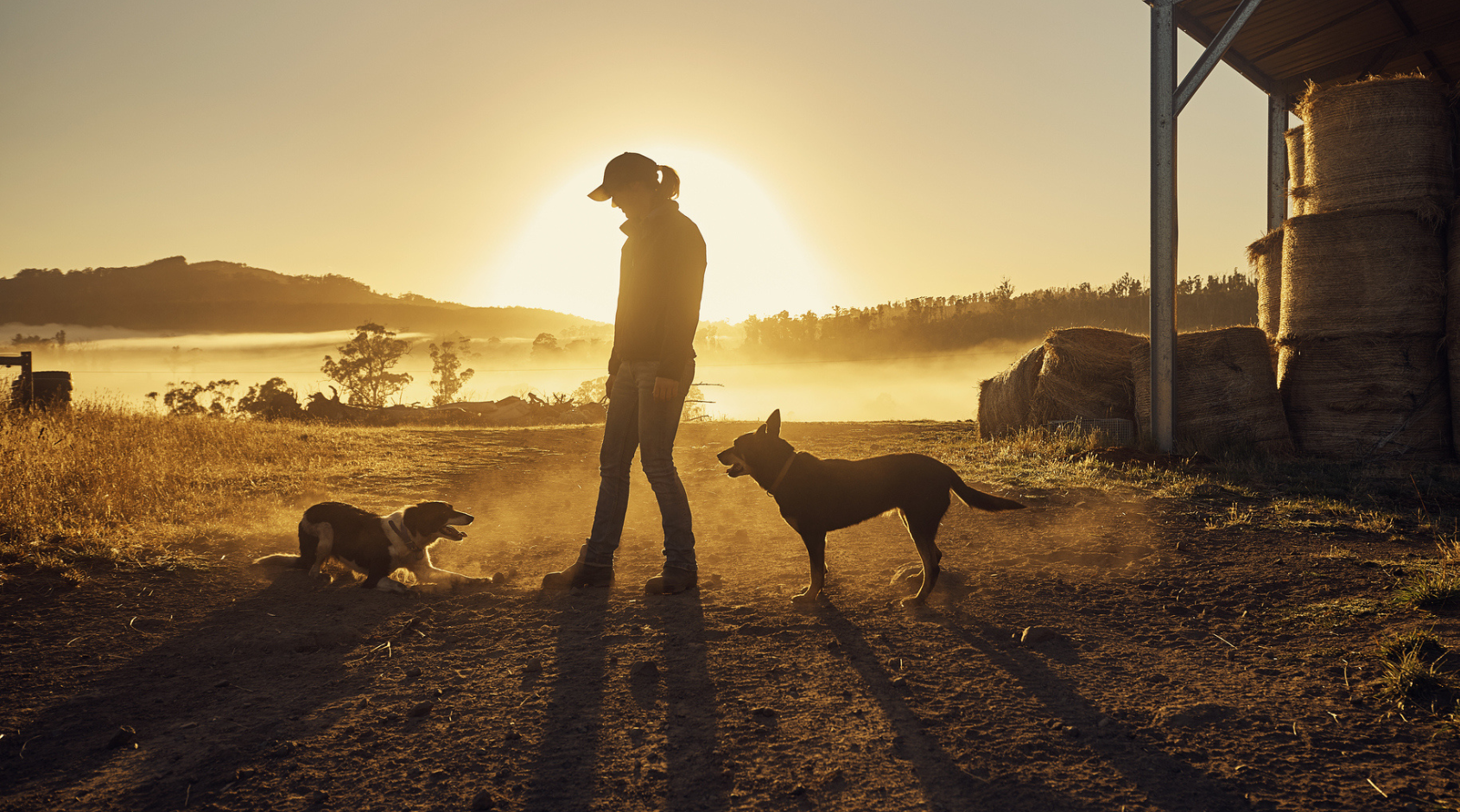 woman on farm with two dogs