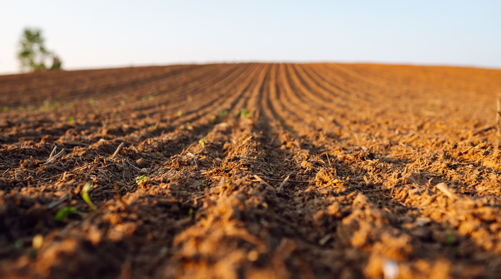 freshly tilled field