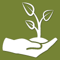 core value icon